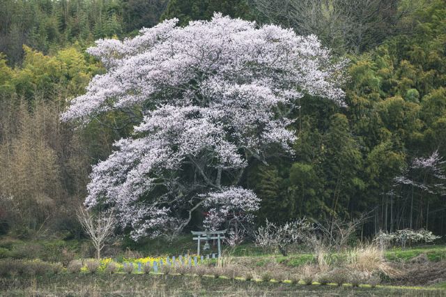福島県の観光名所